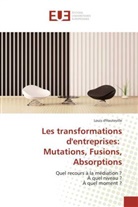 Louis d'Hauteville, Dhauteville-l - Les transformations dentreprises: