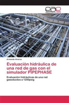 Armando Alvarez - Evaluación hidráulica de una red de gas con el simulador PIPEPHASE