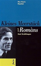 Pier Paolo Pasolini - Kleines Meerstück. Romans
