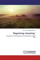 Jose Felipe Salgado Alvarez - Regaining meaning: