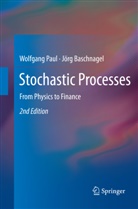 Jorg Baschnagel, Jörg Baschnagel, Wolfgan Paul, Wolfgang Paul - Stochastic Processes