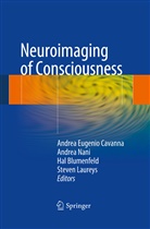 Hal Blumenfeld, Hal Blumenfeld et al, Andrea Eugenio Cavanna, Steven Laureys, Andre Nani, Andrea Nani - Neuroimaging of Consciousness