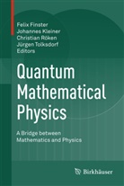 Felix Finster, Johanne Kleiner, Johannes Kleiner, Christian Röken, Christian Röken et al, Jürgen Tolksdorf - Quantum Mathematical Physics
