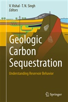 N Singh, N Singh, T. N. Singh, T.N. Singh, Vishal, V Vishal... - Geologic Carbon Sequestration