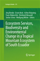 Erwi Beck, Erwin Beck, Jörg Bendix, Achim Bräuning, Achim Bräuning et al, Franz Makeschin... - Ecosystem Services, Biodiversity and Environmental Change in a Tropical Mountain Ecosystem of South Ecuador