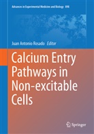 Jua A Rosado, Juan A Rosado, Juan A. Rosado, Juan Antonio Rosado - Calcium Entry Pathways in Non-excitable Cells