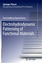 Pola Goldberg Oppenheimer - Electrohydrodynamic Patterning of Functional Materials