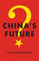 D Shambaugh, David Shambaugh, David (George Washington University) Shambaugh, David L. Shambaugh, Shambaugh David - China''s Future