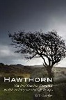 Bill Vaughn, Bill Vaughn, Vaughn Bill - Hawthorn