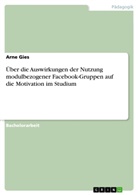 Arne Gies - Über die Auswirkungen der Nutzung modulbezogener Facebook-Gruppen auf die Motivation im Studium