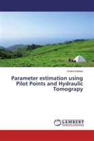 Kudrat Isabaev - Parameter estimation using Pilot Points and Hydraulic Tomograpy