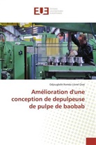 Odjougbélè Roméo Lionel Osse, Osse-o - Amelioration d une conception de