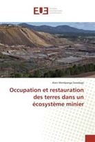 Alain Wendpanga Savadogo, Savadogo-a - Occupation et restauration des