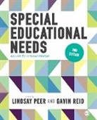 Lindsay Peer, Lindsay Reid Peer, Gavin Reid - Special Educational Needs