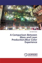 Gül Selin Erben - A Comparison Between Mass and Lean Production;Blue Color Experience