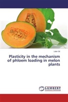 Lidor Gil - Plasticity in the mechanism of phloem loading in melon plants