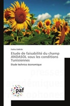 Fathia Eddhibi, Eddhibi-f - Etude de faisabilite du champ