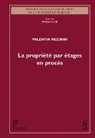 Valentin Piccinin - La propriété par étages en procès