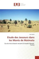 Ines Gasmi, Gasmi-i - Etude des jessours dans les monts