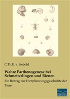 Carl Theodor Ernst von Siebold, C Th E v Siebold, C. Th. E. v. Siebold, C.Th.E. v. Siebold - Wahre Parthenogenese bei Schmetterlingen und Bienen
