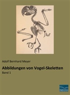 Adol Bernhard Meyer, Adolf Bernhard Meyer, Adolf Bernhard Meyer - Abbildungen von Vogel-Skeletten