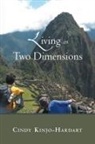 Cindy Kinjo-Hardart - Living in Two Dimensions
