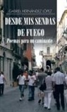 Gabriel Hern¿ez L¿pez, Gabriel Hernandez Lopez, Gabriel Hernández López - Desde MIS Sendas de Fuego Cuentos de Un Caminante/ Desde MIS Sendas de Fuego Poemas Para Un Caminante