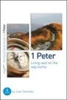 Juan Sanchez, Juan R Sanchez, Juan R. Sanchez - 1 Peter: Living Well on the Way Home
