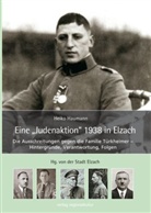 Heiko Haumann, Stad Elzach - Eine "Judenaktion" 1938 in Elzach