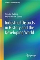 Tomoko Hashino, Tomok Hashino, Tomoko Hashino, Otsuka, Otsuka, Keijiro Otsuka - Industrial Districts in History and the Developing World