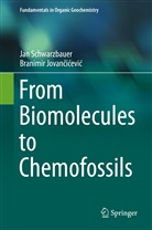 Branimir Jovan¿i¿evi¿, Branimir Jovancicevic, Branimir Jovančićević, Ja Schwarzbauer, Jan Schwarzbauer - From Biomolecules to Chemofossils