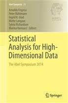 Pete Bühlmann, Peter Bühlmann, Arnoldo Frigessi, Ingrid Glad, Ingrid K. Glad, Ingrid Glad et al... - Statistical Analysis for High-Dimensional Data