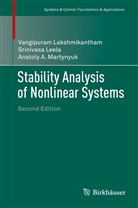 Vangipura Lakshmikantham, Vangipuram Lakshmikantham, Srinivas Leela, Srinivasa Leela, Martyn, Anatoly A. Martynyuk - Stability Analysis of Nonlinear Systems