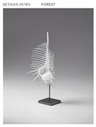 Bethan Huws, Pia Muller-Tamm, Hans-Rudolf Reust - Bethan Huws Forest