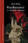 Mary Wollstonecraft Shelley - Frankenstein o el moderno Prometeo