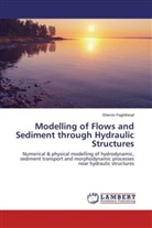 Shervin Faghihirad - Modelling of Flows and Sediment through Hydraulic Structures