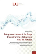 Molka Gargouri, Gargouri-m - Pre grossissement du loup