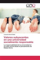 Leonardo David Videla - Valores subyacentes en una universidad socialmente responsable