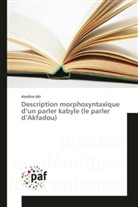 Azedine Idir, Idir-a - Description morphosyntaxique d un
