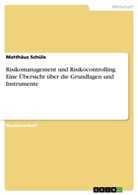 Matthäus Schüle - Risikomanagement und Risikocontrolling. Eine Übersicht über die Grundlagen und Instrumente