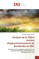 Kilumba-r, Rodolphe Ngadiba Kilumba - Analyse de la filiere vivriere d