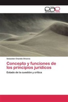 Sebastián Chandía Olivares - Concepto y funciones de los principios jurídicos