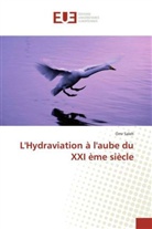Omr Saleh, Saleh-o - Lhydraviation a laube du xxi eme