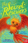 Paula Harrison, Harrison Paula, Sophy Williams, Williams Sophy - Secret Rescuers: The Baby Firebird