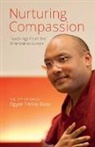 The 17th Karmapa Ogyen Trinley Dorje, The th Karmapa Ogyen Trinley Dorje - Nurturing Compassion