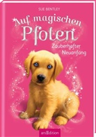 Sue Bentley, Angela Swan - Auf magischen Pfoten - Zauberhafter Neuanfang