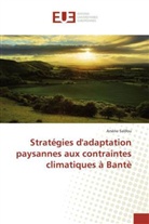 Arsène Salifou, Salifou-a - Strategies dadaptation paysannes