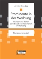 Armin Brandes - Prominente in der Werbung: Chancen und Risiken beim Einsatz von Testimonials im Marketing