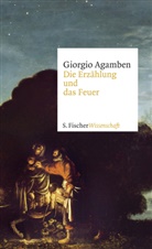 Giorgio Agamben - Die Erzählung und das Feuer