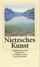Rüdiger Görner - Nietzsches Kunst